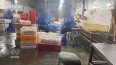 <b>个环节消息被揭开：即便净乱</b>