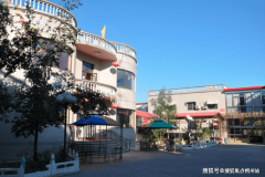  控制心肺苏醒、气